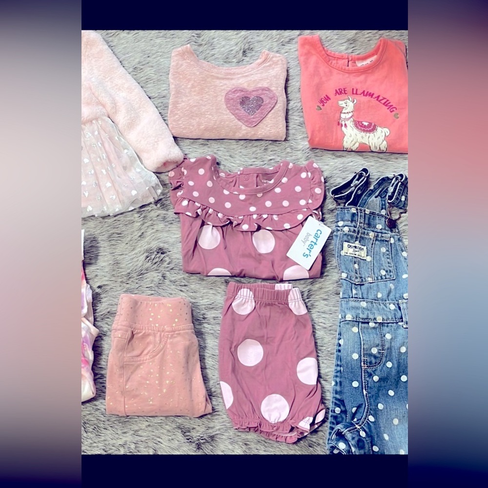Baby girl 18 month bundle